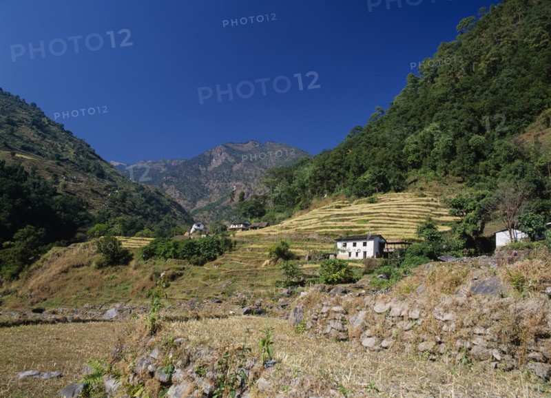 NEPAL, Annapurna Region, Bhurungdi Khola Valley, White painted buildings on lower slopes of terraced hillside with tree covered hills behind and distant mountains.