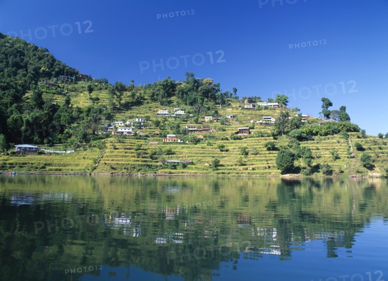 NEPAL, Annapurna Region, Pokhara, View over Lake Phewa with reflected terrace hillside and trees.