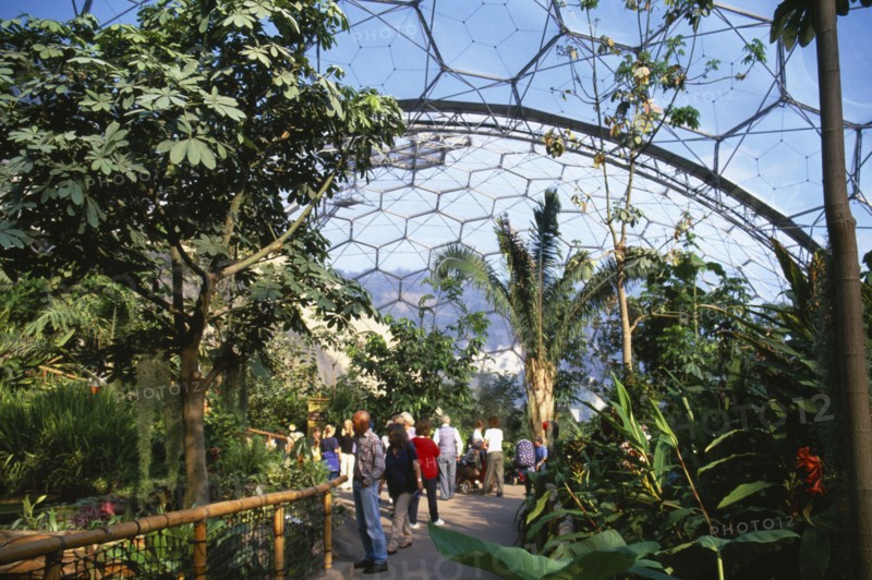 ENGLAND, Cornwall, St. Austell, "Eden Project.  Humid Tropics Biome interior, visitors on pathway amongst tropical plants, domed geodesic roof above,"