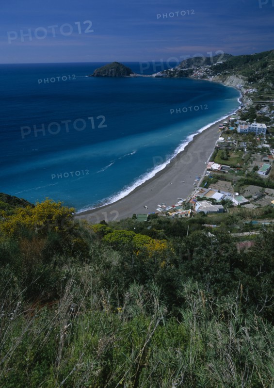 ITALY, Campania, Ischia, Moronti.  View over sandy beach and nearby buildings from tree and gorse covered hillside.