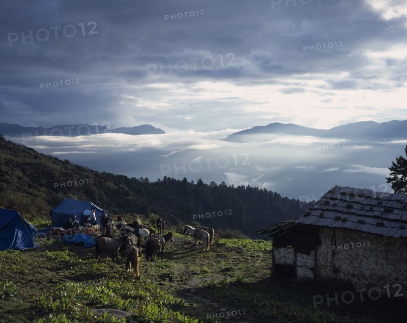 BHUTAN, Phajoding, "Trekkers breaking camp, pack ponies outside blue tents on hillside with view towards distant mountains partly obscured by cloud."