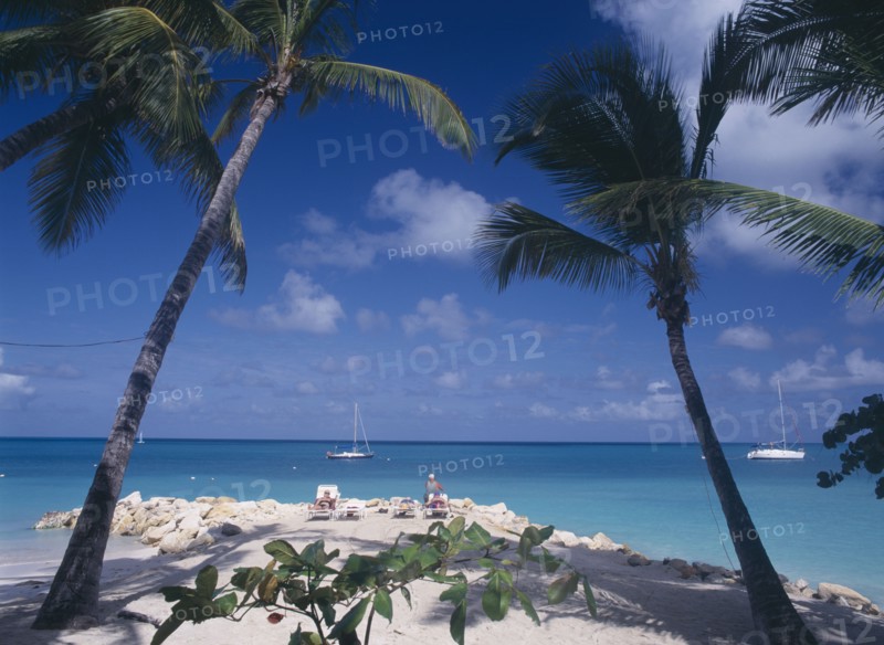 WEST INDIES, Antigua, Dickenson Bay, Sandy beach and rocks with people sunbathing on loungers and man fishing.  Aquamarine water and yachts framed by palms in the foreground.