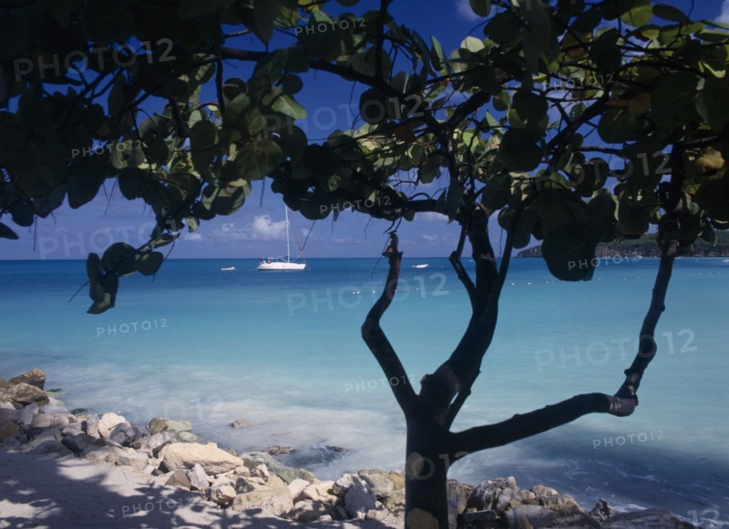 WEST INDIES, Antigua, Dickenson Bay, "View across clear, aquamarine water towards distant yachts divided and partly framed by tree in shadow in the foreground. "