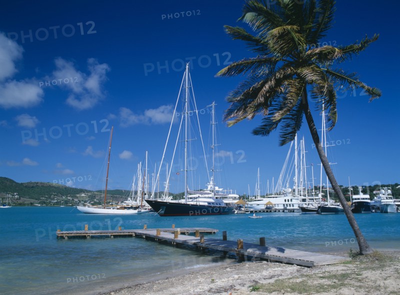 WEST INDIES, Antigua, Falmouth Harbour, Wooden jetty beneath palm tree leading into harbour with moored yachts.