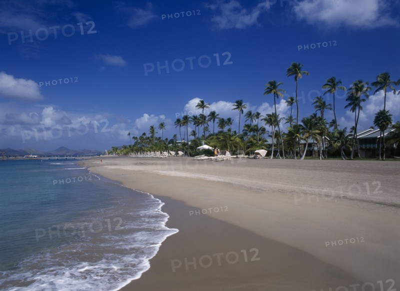WEST INDIES, Nevis, Pinneys Beach, Four Seasons Resort.  Quiet sandy beach at the waters edge.  Line of empty sun loungers with apartment buildings partly seen through palm trees behind.