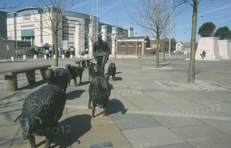 IRELAND, North, Belfast, "Shepherd and Sheep sculpture by artist Deborah Brown, in the grounds of the Waterfront Hall Lanyon Place"