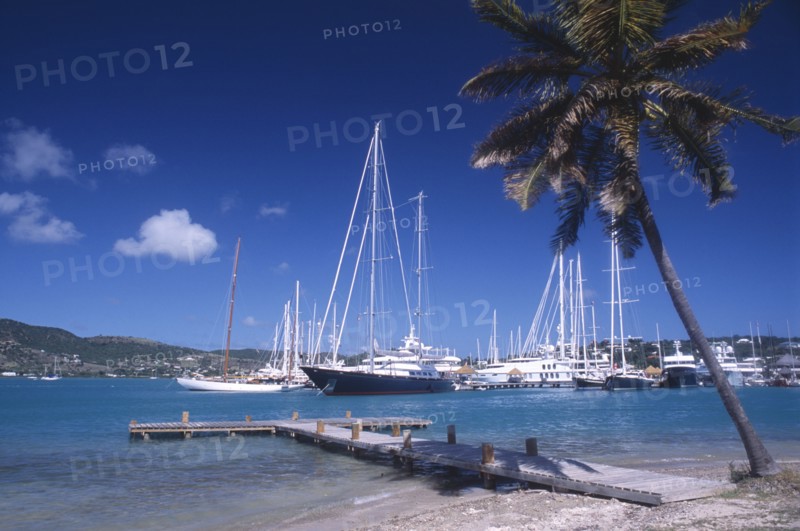 WEST INDIES, Antigua, Falmouth Harbour, Wooden jetty under leaning palm tree extended into harbour with moored yachts and other boats.