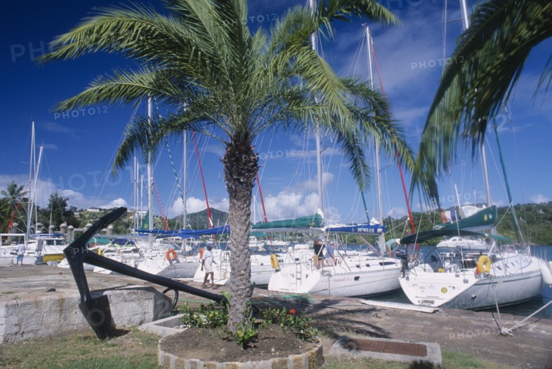 WEST INDIES, Antigua, English Harbour, Nelsons Dockyard.  yachts moored against quay with palm tree and anchor displayed in the foreground.