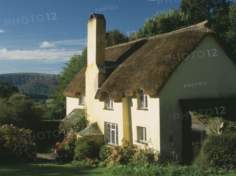 ENGLAND, Somerset, Selworthy, Thatched cottage with mullioned windows.