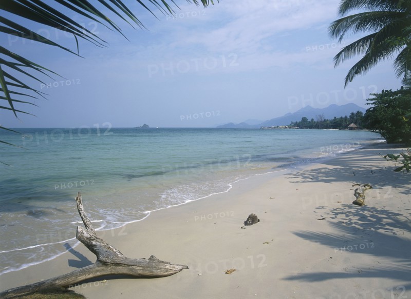 THAILAND, Trat Province, Koh Chang, Kai Bae Beach view along sandy beach and coast framed by palm leaves.
