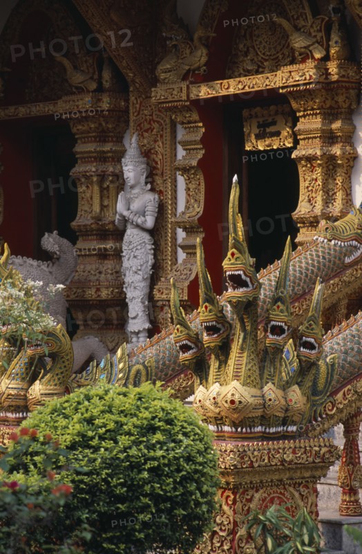 THAILAND, North, Chiang Mai, Wat Bupparam Temple on Tha Phae Road. Temple exterior with elaborate dragon stairway banisters and statue near doorway.