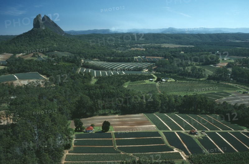 AUSTRALIA, Queensland, Glasshouse Mountains, Landscape with cultivated fields interspersed by dense forest.