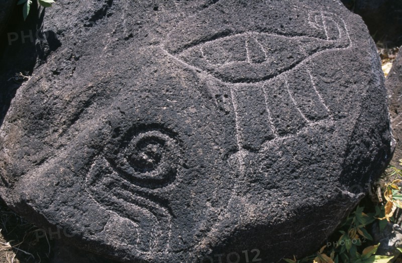 NICARAGUA, Lake Nicaragua, Ometepe Island, Close up detail of petroglyphs carved in to large bolder.