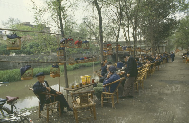 CHINA, Sichuan, Chengdu, Caged songbirds hanging over outdoor tables and chairs of a tea house.