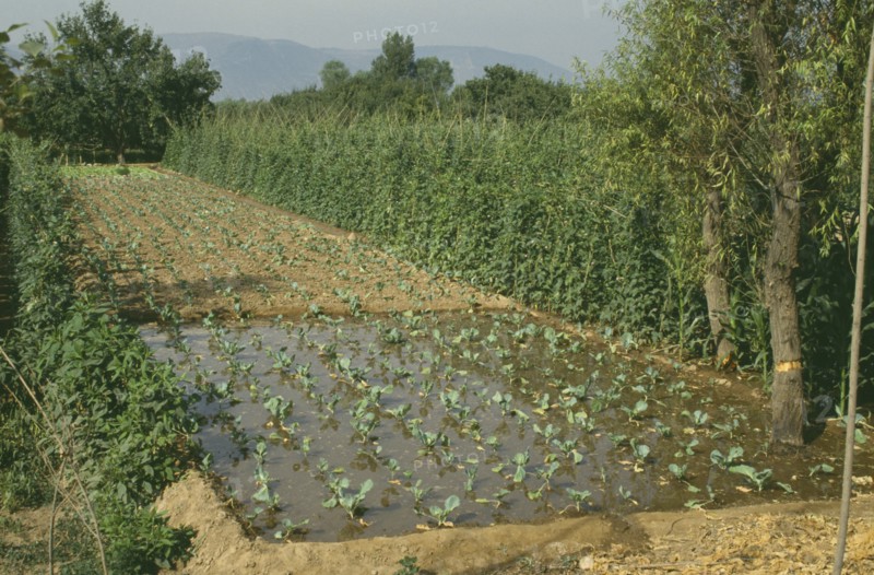 CHINA, Gansu,  Lanzhou, Irrigated fields with lines of crops growing on dry land and partial watered area.