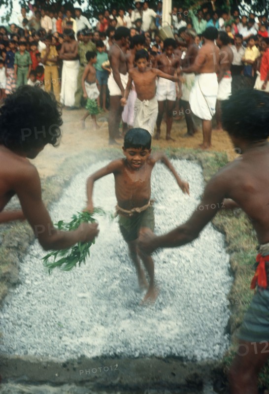 SRI LANKA , Chilaw, "Young boys firewalking, walking barefoot across hot coals encouraged by watching crowd and waiting men."