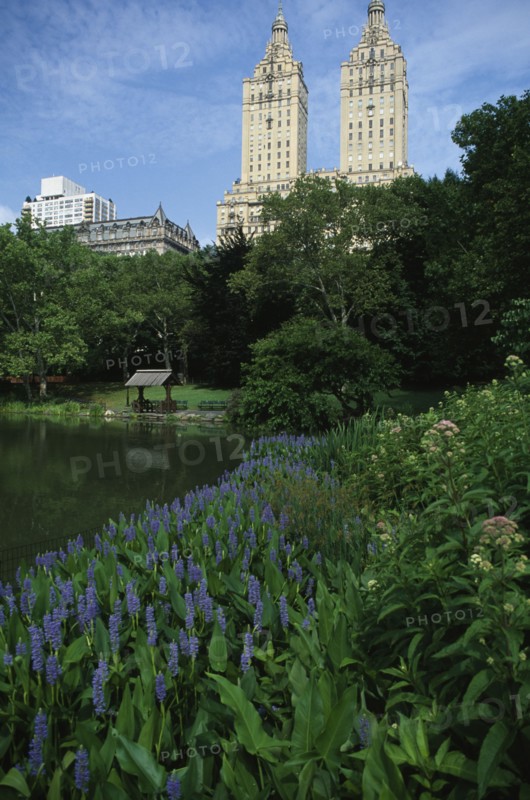 USA, New York , New York City, Twin towers of San Remo apartments seen from Central Park