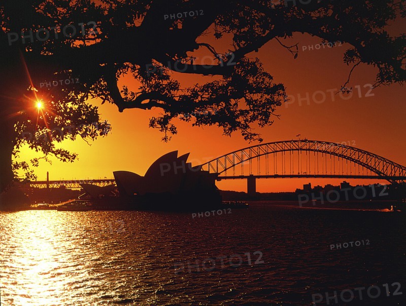 AUSTRALIA, New South Wales, Sydney, Opera House at sunset seen through trees