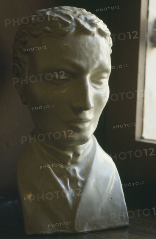 HANDICAP, Eyes, Close up of bust of Louis Braille lit by nearby window