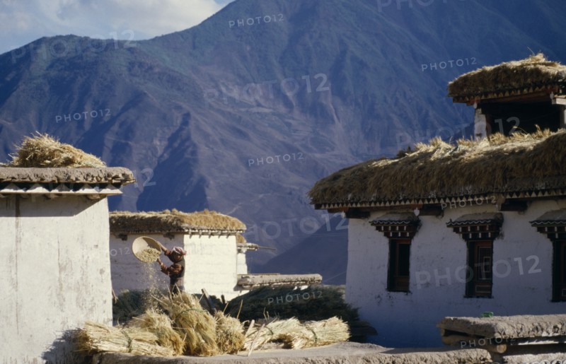 CHINA, Tibet, Yanjing, Farmer winnowing barley by mountain village farm buildings