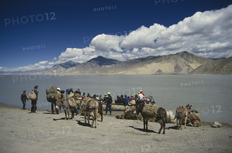 CHINA, Tibet, Transport, People with laden donkeys boarding a ferry to cross the Tsangpo river