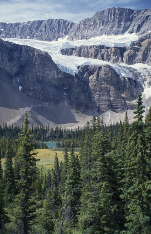 CANADA, Alberta, Icefields Parkway, Crowfoot Glacier. View over treetops and lake toward snow covered rockies