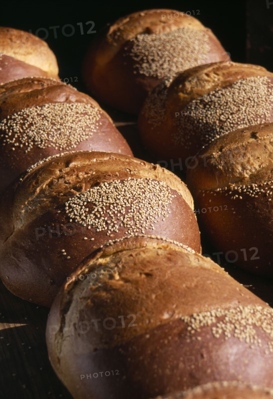 MEXICO, Oaxaca, Oaxaca City, Close view of loaves of bread with sesame seeds scattered over crust.