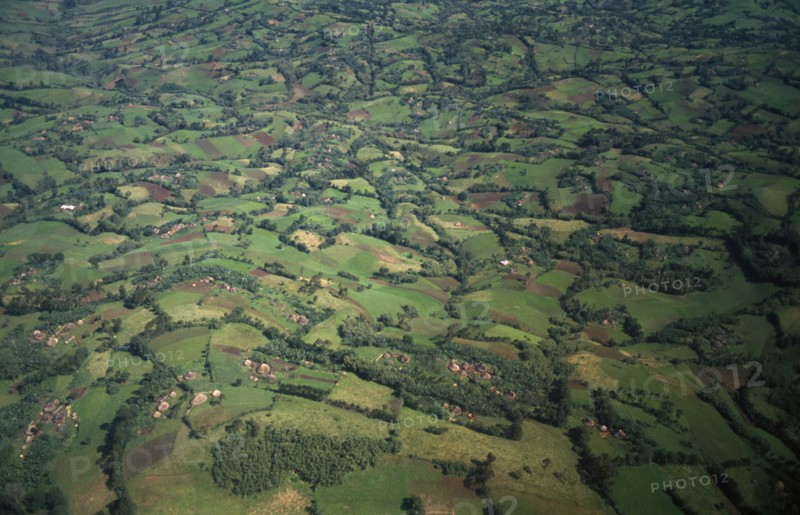 ETHIOPIA, South West, Agriculture, Aerial landscape over fields of crops and lush vegetation.