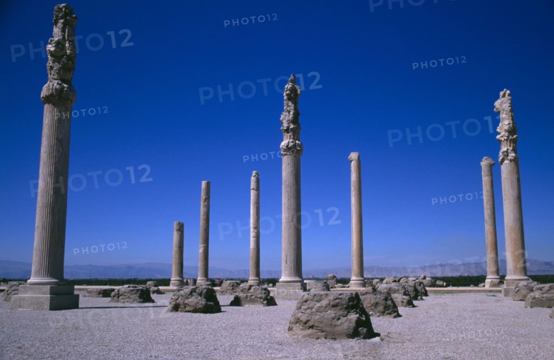 IRAN, South, Persepolis, Fifth century BC Archaemenid palace complex.  Stone columns originally supporting the Central Hall of Apadana Palace.