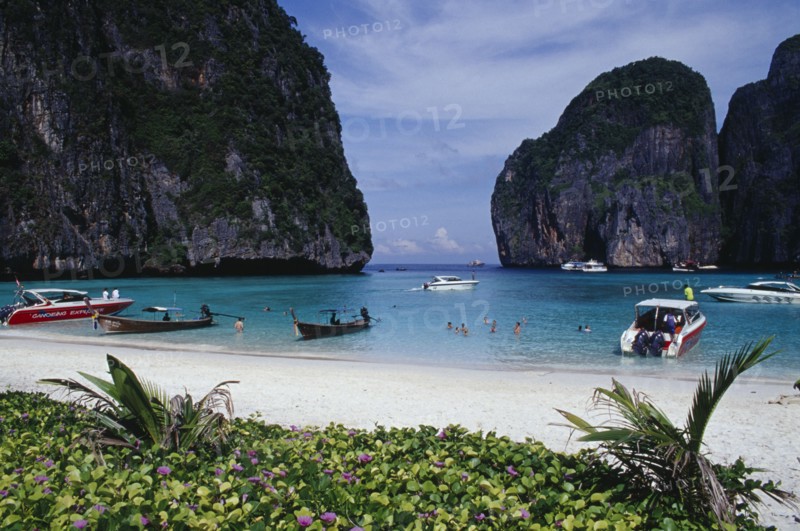 THAILAND, Krabi Province, Ko Phi Phi Leh , Maya Bay.  View over purple flowers towards white sand beach overlooked by limestone rock formations.  Line of long tail and tourist boats and people swimming.