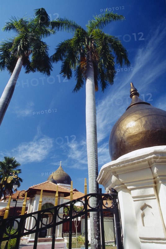 MALAYSIA, Penang, Georgetown, "Kapitan Kling Mosque, built by the first Indian Muslim settlers in Penang c.1800.  Part view of exterior framed by palm trees. "