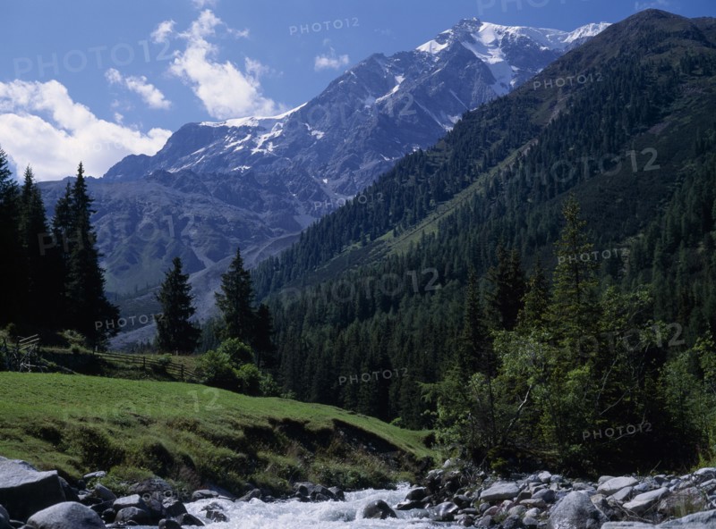 ITALY, Trentino, Suldental, "Landscape with Mount Ortler (3905 m) in background, densely wooded valley sides and rocky, fast flowing stream in foreground."