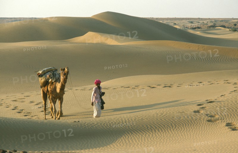 INDIA, Rajasthan, Jaisalmer, Thar Desert.  Man walking with camel carrying pack over dunes leaving prints in the sand.