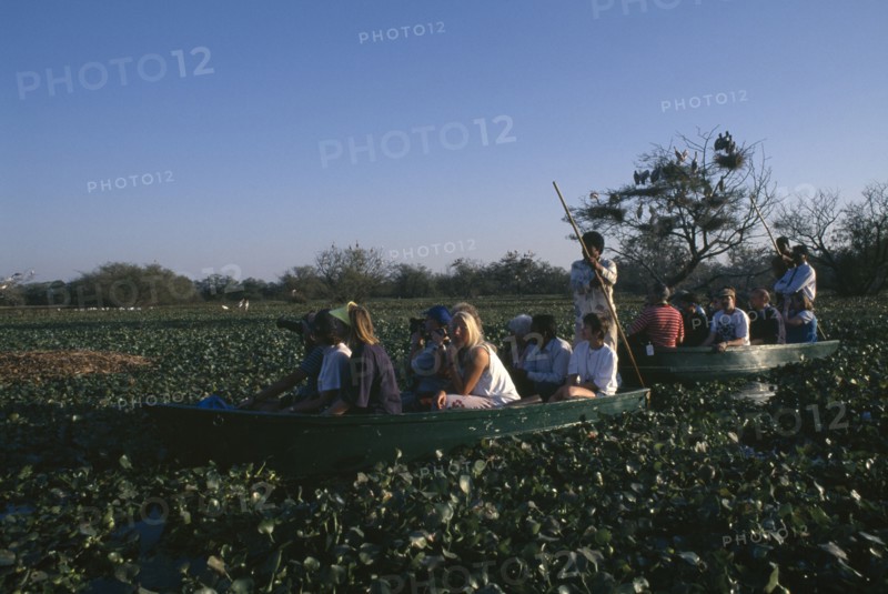 INDIA, Rajasthan, Bharatpur Reserve, Tourisrts in two boats on bird watching tour