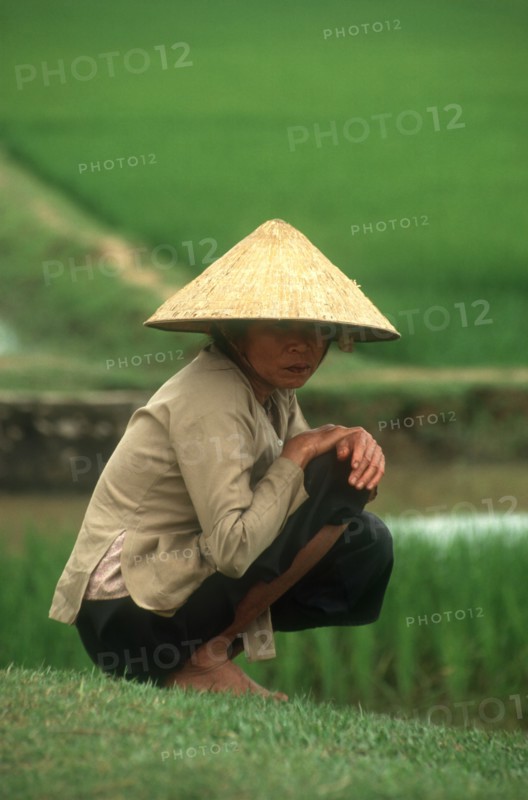 VIETNAM, Thanh Hoa, Woman in conical hat with paddy fields behind her.