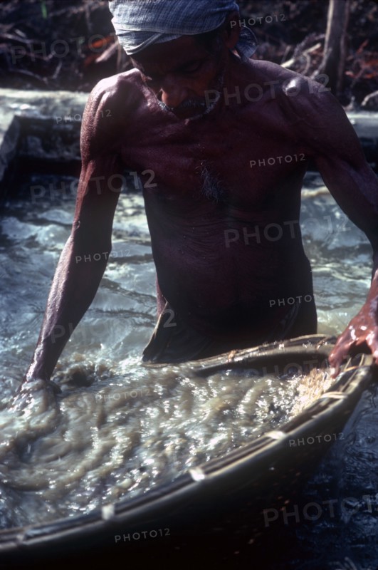 SRI LANKA, Ratnapura, Gem miner panning for gems