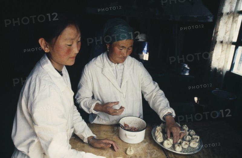 MONGOLIA, People, Making Buuz steamed minced lamb dumplings.