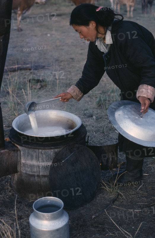MONGOLIA, People, Young woman heating milk.
