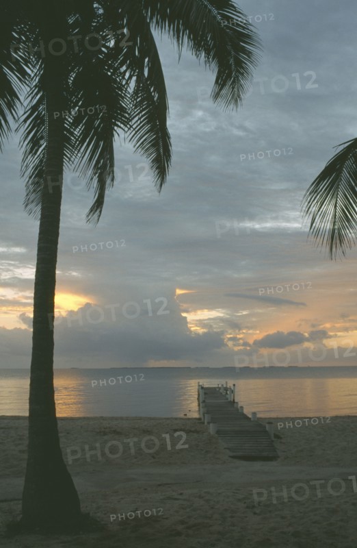 BELIZE, Beach, Jetty at sunset