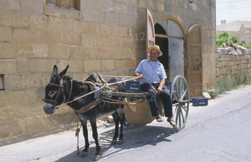MALTA, Gozo, Man with donkey cart in street