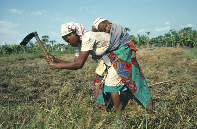 MOZAMBIQUE, Farming, Young woman carrying her baby strapped to her back whilst tilling land by hand.