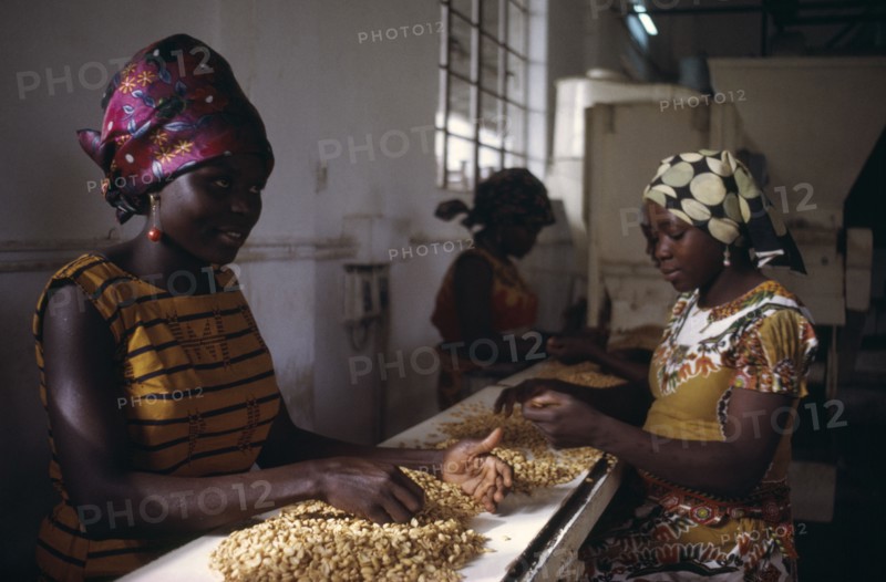 NIGERIA, Kano, Women working in groundnut oil factory.