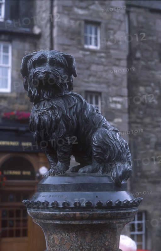 SCOTLAND, Lothian, Edinburgh, Statue of Greyfriars Bobby a Skye Terrier who guarded the grave of his master John Gray for 14 years