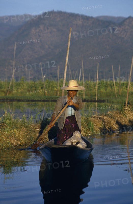 MYANMAR, Inle Lake, Woman rowing wooden canoe through floating gardens.