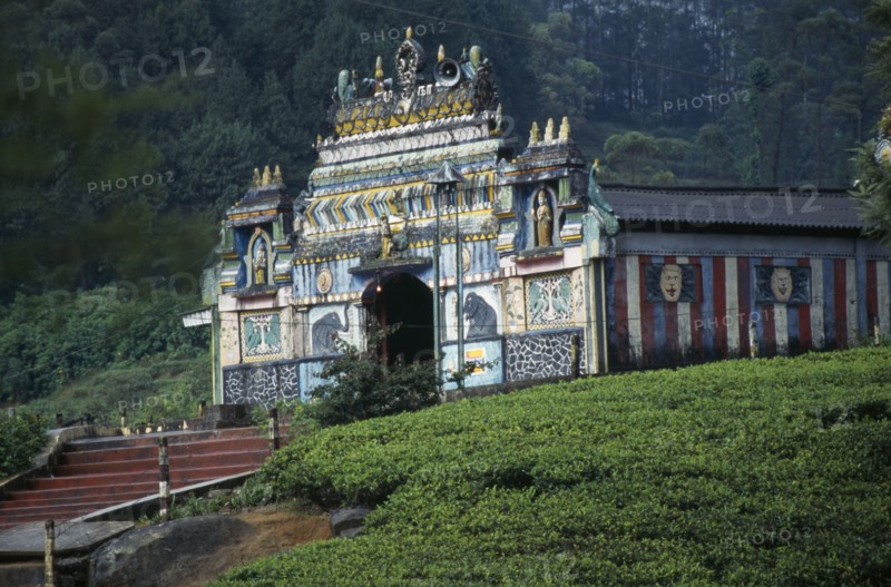 SRI LANKA, Nuwara Eliya, Hindu Temple in the centre of a tea plantation of which the tea pickers are Tamil Indians