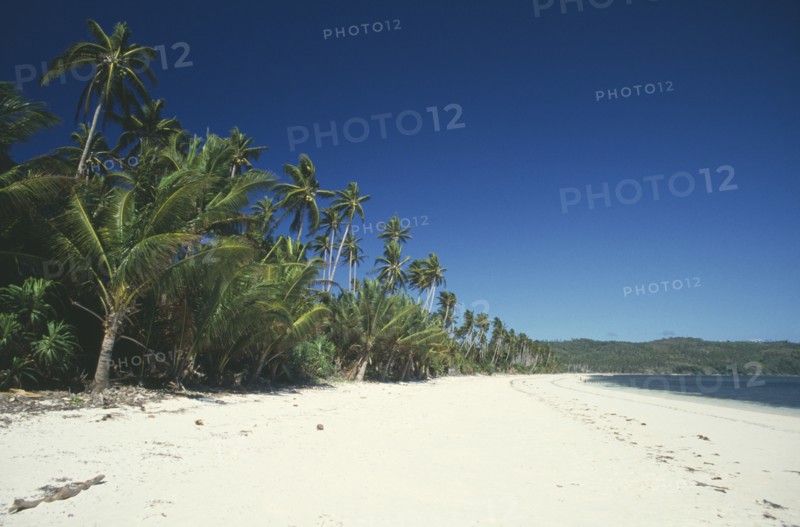 PHILIPPINES, Visayan Islands, Boracay, Empty sandy beach fringed with palm trees on undeveloped east coast