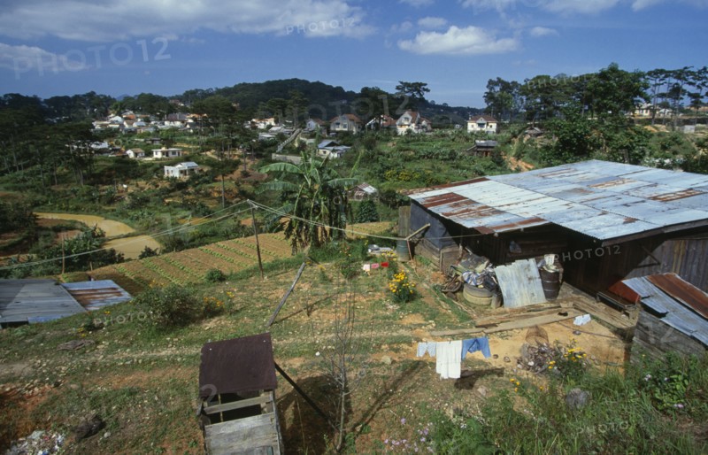 VIETNAM, Central Highlands, Dalat, Vegetable patches amongst small houses in this temperate crop growing area