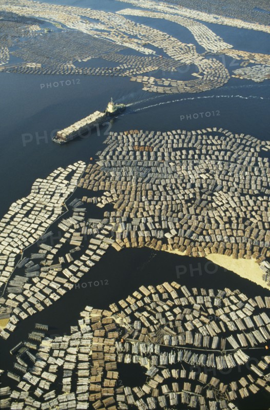 FINLAND, Lake Saimaa, Large expanse of cut timber from logging industry floating on lake surface.