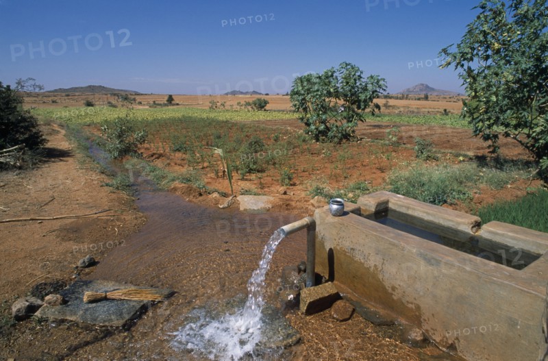 INDIA, Andhra Pradesh, Anantapur, Ground water irrigating dry field on hilltop