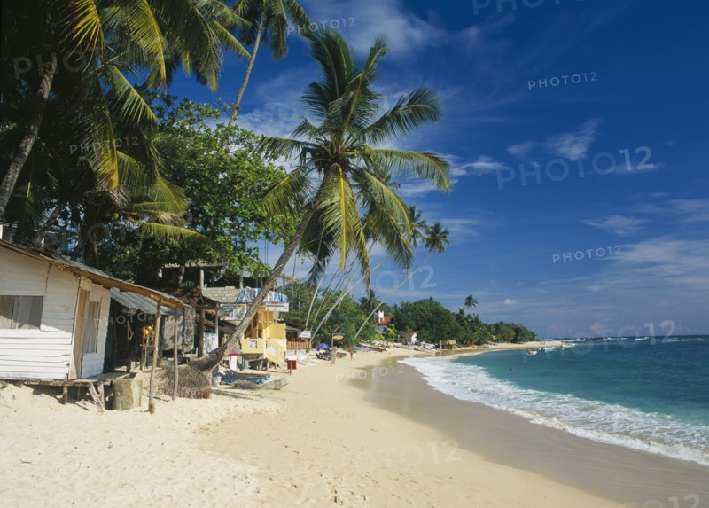 SRI LANKA, Unawatuna, Narrow sandy beach lined with vegetation and overhanging palm trees with restaurants internet cafe and other buildings.